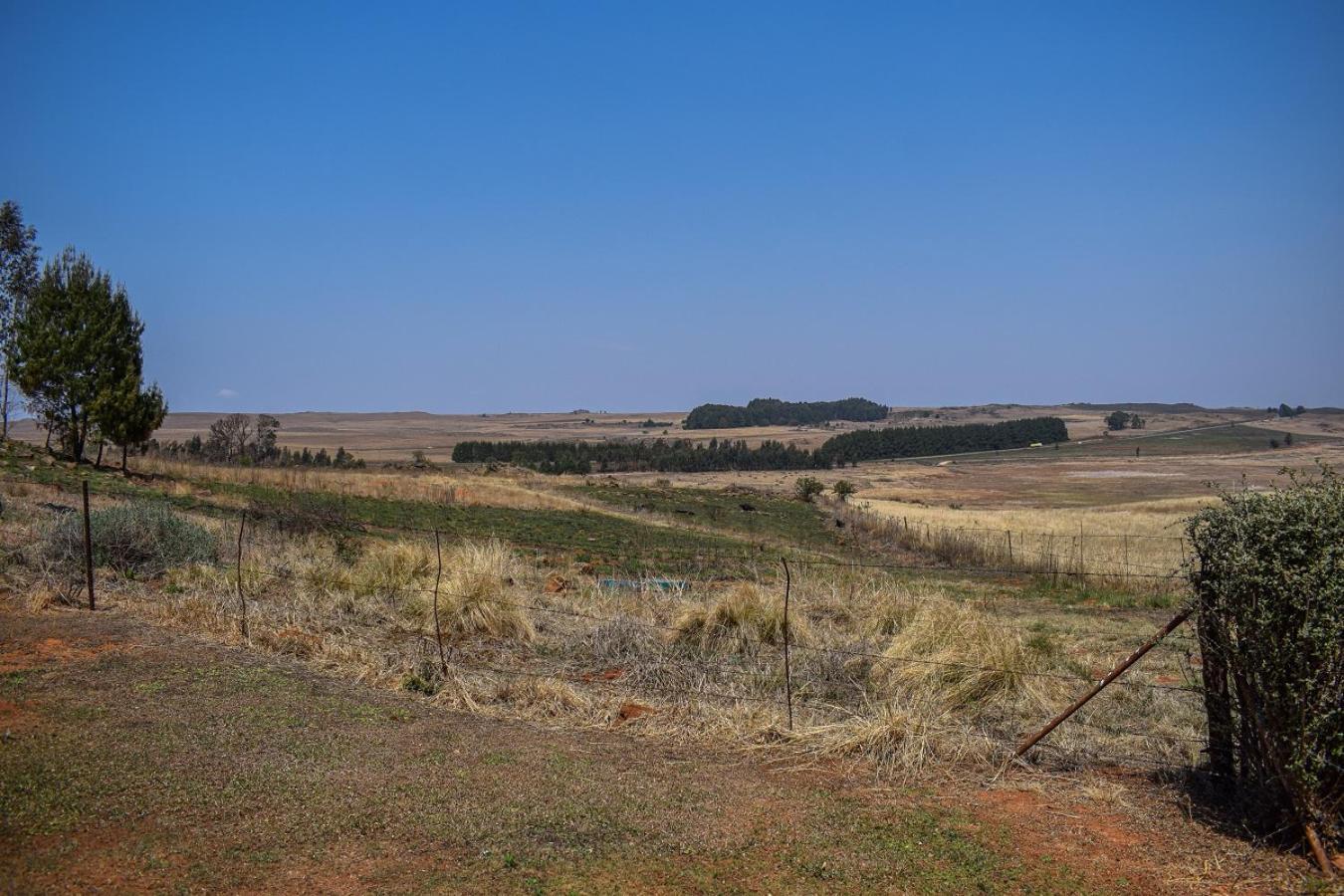 Dabchick Cottage Dullstroom Exterior foto