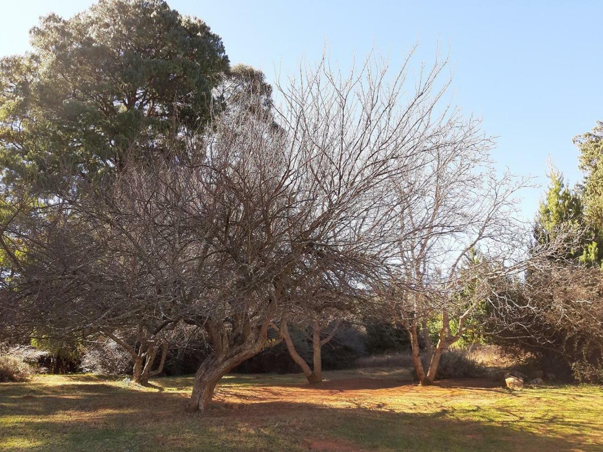 Dabchick Cottage Dullstroom Exterior foto