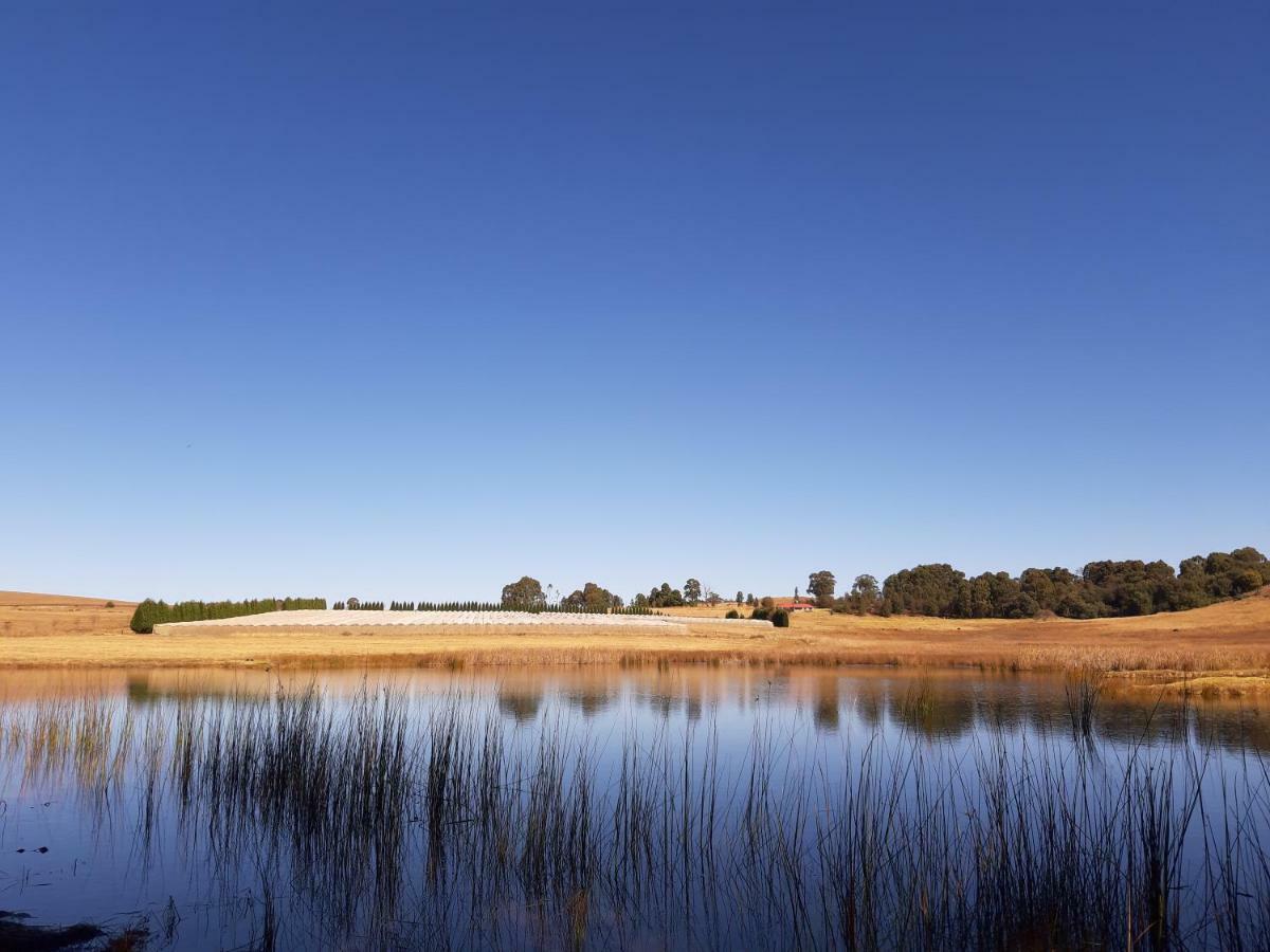 Dabchick Cottage Dullstroom Exterior foto